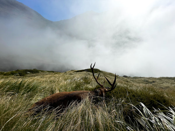 Lewis Pass 2-day Mountain Hunt - Big Red & Chamois | Pre-Rut 2022